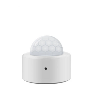 Senzor PIR Zigbee aplicație Tuya/Smartlife